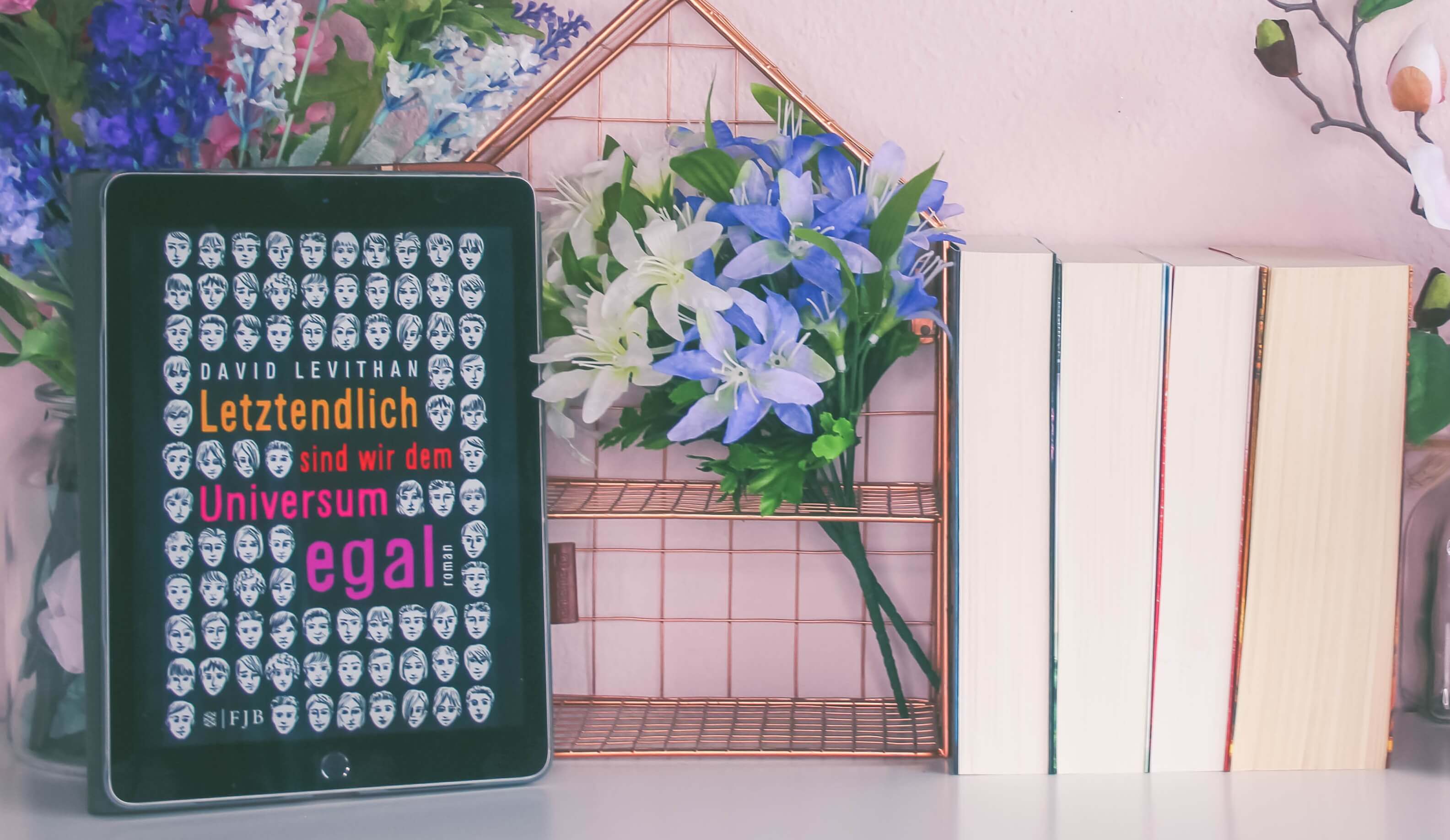 Letztendlich Sind Wir Dem Universum Egal Buch Inhaltsangabe Letztendlich sind wir dem Universum egal | David Levithan | Bücherblog