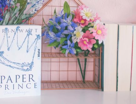 Paper Prince Erin watt