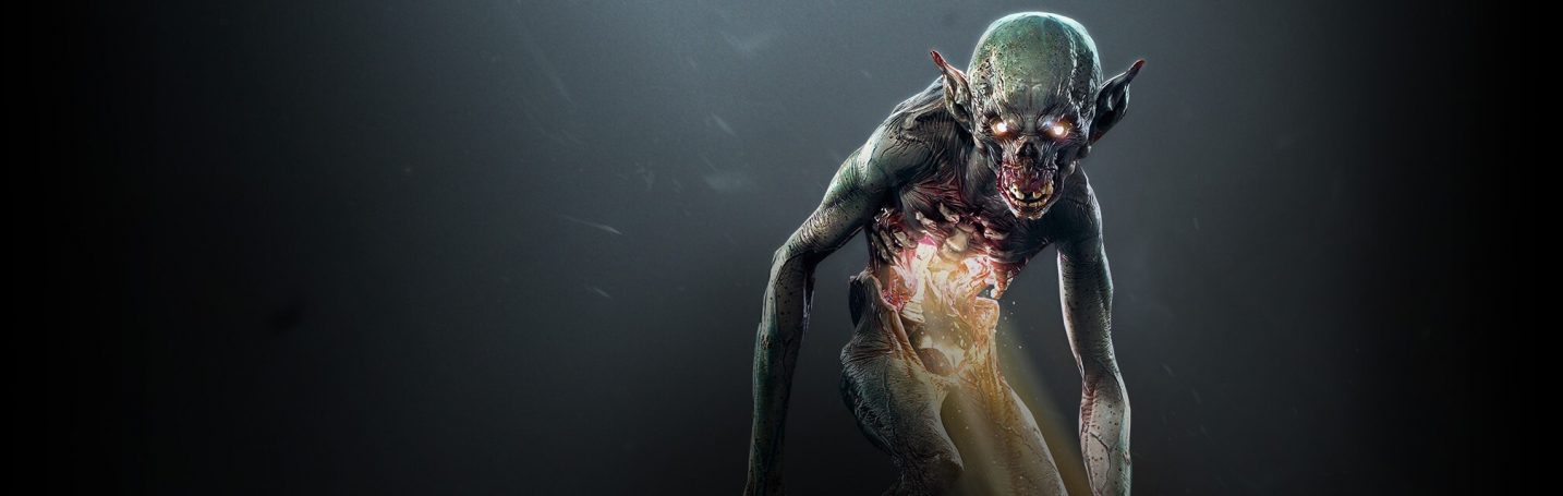 Nebeling aus dem Witcher Universum