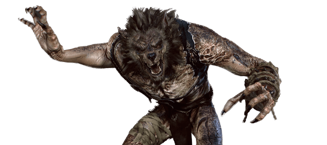 Werwolf aus dem Witcher Universum