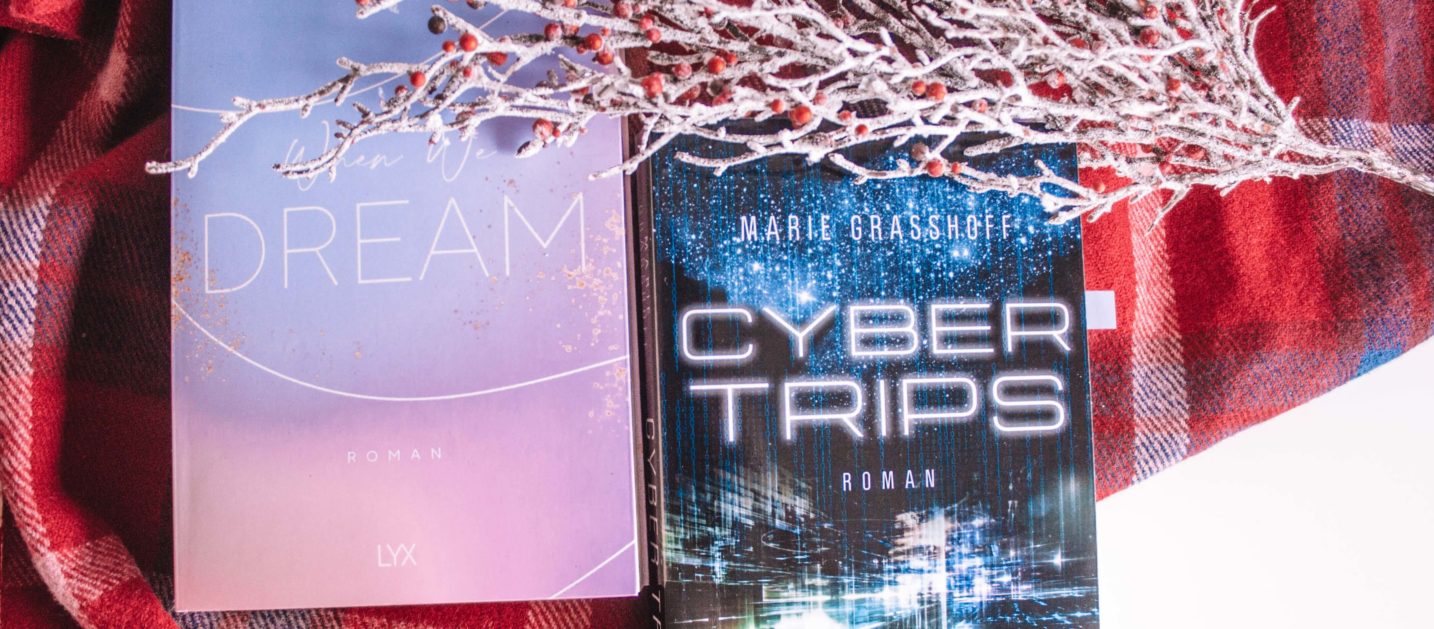 2020 in 12 Büchern When we dream und Cyber Trips