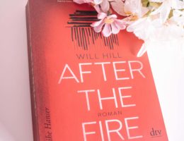 After the Fire Rezension