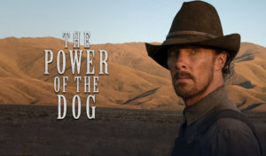 The Power of the Dog Filmkritik