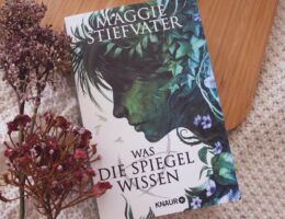 Was die Spiegel wissen Rezension