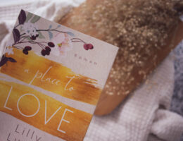 A Place to Love von Lilly Lucas